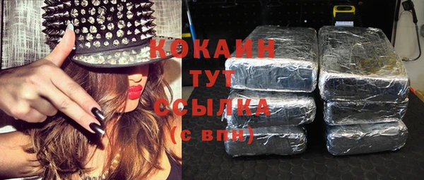 дживик Алзамай
