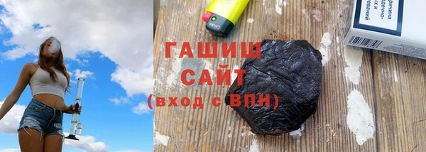 хмурый Пересвет