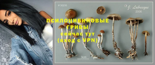 таблы Алексин